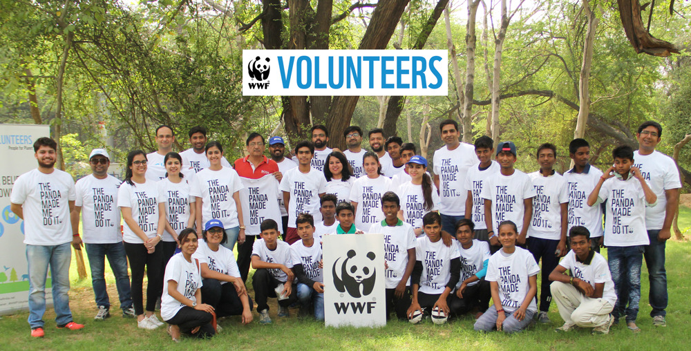 World Wildlife Fund Renewal